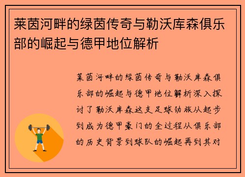莱茵河畔的绿茵传奇与勒沃库森俱乐部的崛起与德甲地位解析