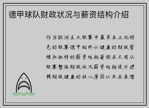 德甲球队财政状况与薪资结构介绍